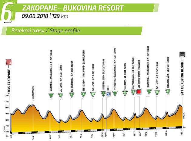 Stage 6 profile